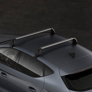 Leon 5DR 2020 > Roof bars