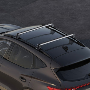 Roof bars CUPRA Formentor 2020 >